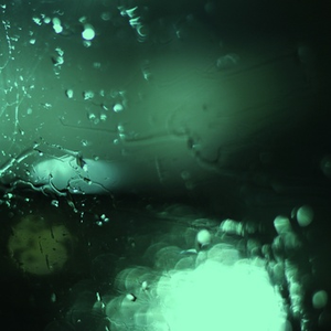 女生光溜溜图片视频马塞克
