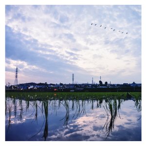 女生光溜溜图片视频马塞克
