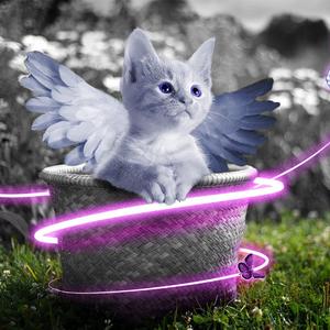 女生光溜溜图片视频马塞克
